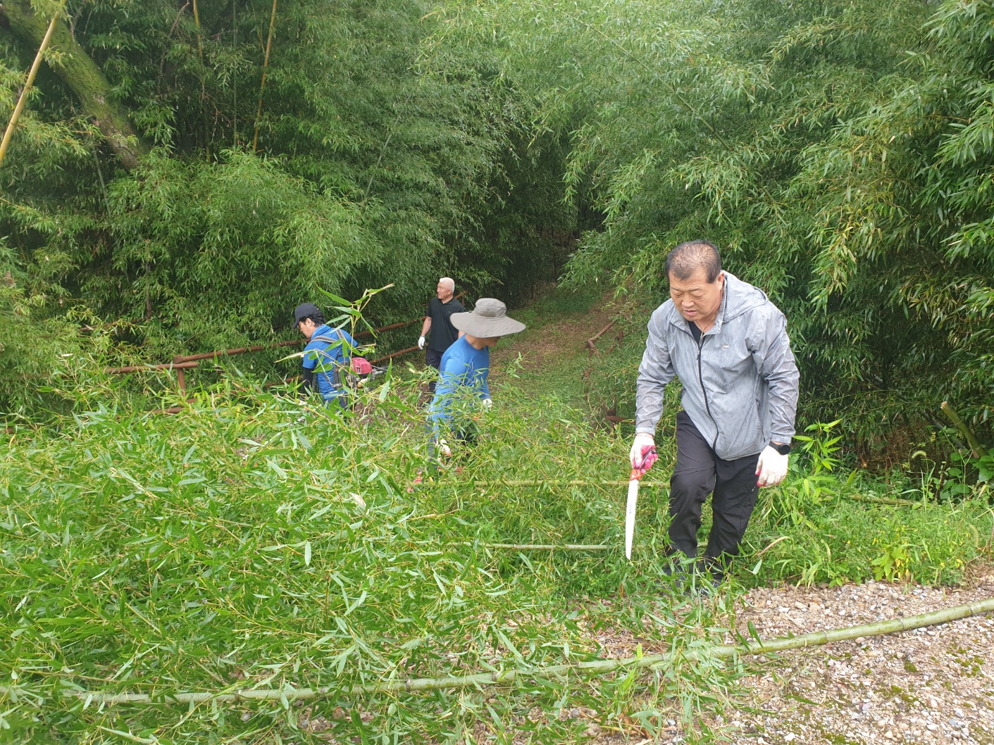 혜림종합복지관 대나무 산책로 환경정화 봉사 활동-사진2