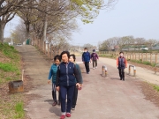 지역조직화 사업-양각마을 주민 커뮤니티프로그램 “천변걷기”